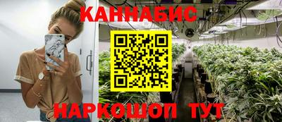 СК Владимир