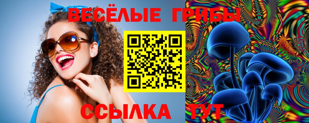 Псилоцибиновые грибы Psilocybine cubensis  Галлюциногенные грибы ЛСД  Вход с VPN  Асбест 