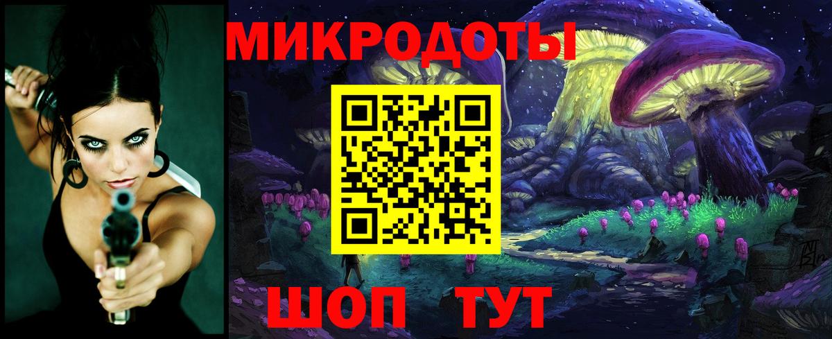 Псилоцибиновые грибы Psilocybe Асбест